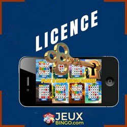 licence-securite-online-bingo-casino