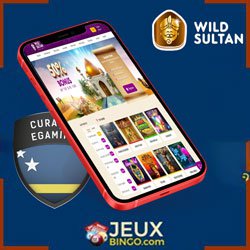 Wild Sultan Casino